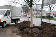 Müllender | Garten- und Landschaftsbau in Krefeld