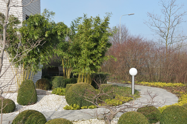 Müllender Garten und Landschaftsbau Krefeld Galerie